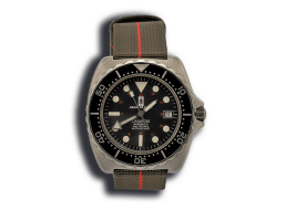 armée de terre 1994 luminova