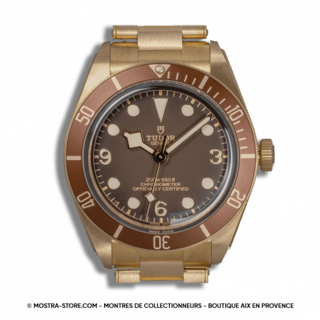 montre-tudor-blackbay-58-bronze-fullset-2022-aix-marseille-paris-lyon-salon-provence-avignon-nimes-gap-nice-toul