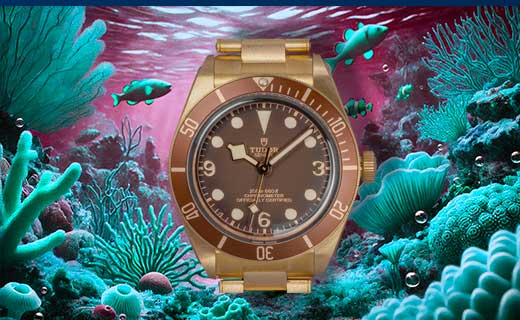 montre-tudor-bronze-black-bay-58-bb-79012m-aix-paris-lyon-marseille-toulon-avignon